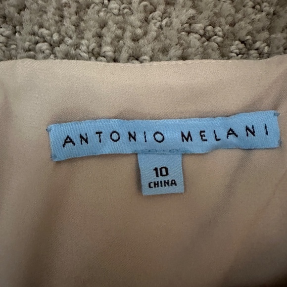 Anotonio Melani lace ivory/nude sheath dress - size 10 women's - Picture 3 of 4